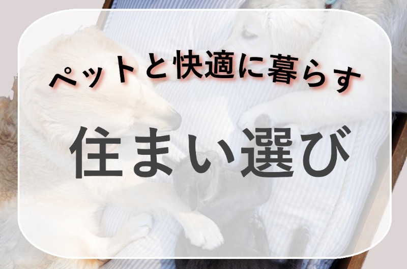 サムネ